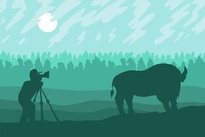 Photographer photographs walking bizon on field vector