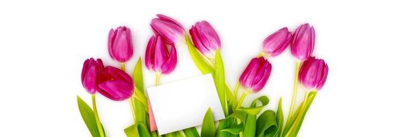 hermosos tulipanes. fondo de naturaleza primaveral para banner web y diseño de tarjetas. foto