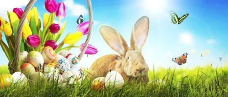 Funny Easter bunny. Happy Easter holiday concept. photo