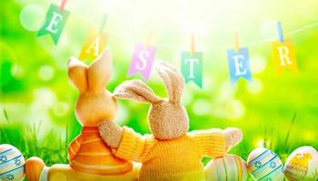 Funny Easter bunny. Happy Easter holiday concept. photo