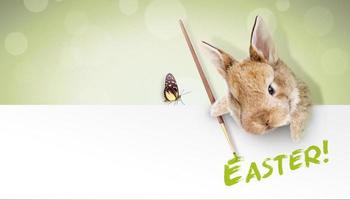 Funny Easter bunny. Happy Easter holiday concept. photo