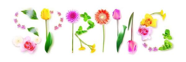 Flowers and herbs with word spring. Creative floral composition. photo