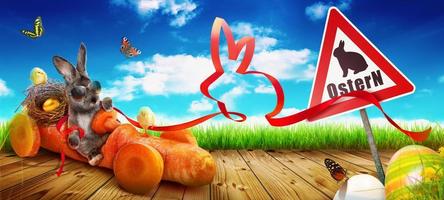 Funny Easter bunny. Happy Easter holiday concept. photo