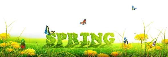 Spring and summer panorama with word spring. photo