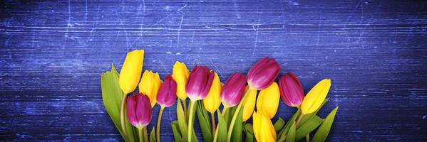 Beautiful tulips. Spring nature background for web banner and card design. photo