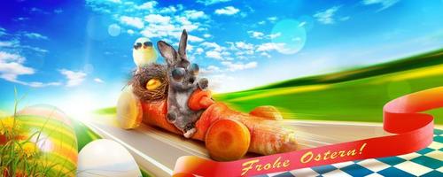 Funny Easter bunny. Happy Easter holiday concept. photo