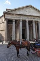 Horse in front of Pantheon temple to all Gods Rome Italy photo