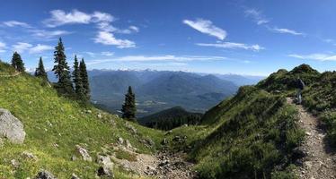 camino y bosque en las montañas alpinas