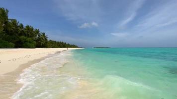 oceano e spiaggia video