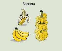 A set of banana illustration can be used as cartoon banana, icon or in merch. vector