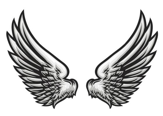 Hand Drawn Wing Vector Illustration