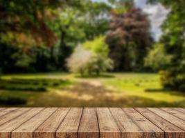 Wood Table Backrgound photo