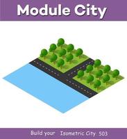 Isometric 3D illustration view from above to the Forest quarter vector