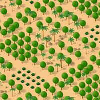 Forest desert pattern background trees desert isometric repeating vector