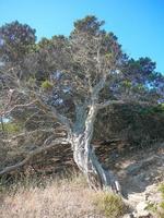 View of Lampianu mountains photo