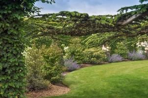 Flowers and trees in a green grove spot of greenery in a park photo