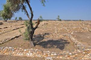 ruinas de olynthus en chalkidiki foto