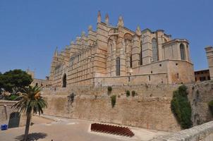 St Mary cathedral in Palma De Mallorca photo