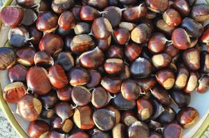 Many chestnuts useful as a food background