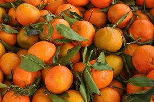 Orange tangerine fruit photo