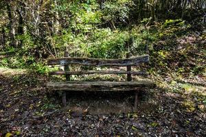 2021 10 24 Bosco do Tretto wooden bench photo