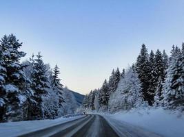 Driving at night through mountains and forests in Norway. photo