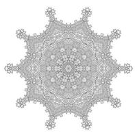 beautiful line art mandala vector