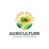 modern color agriculture the farm logo. wheat agriculture design vector
