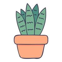 Houseplant. Hand Drawn Spring Icons. vector