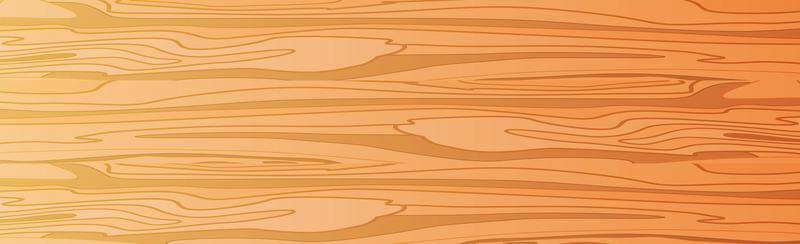 Panoramic texture of light wood with knots - Vector