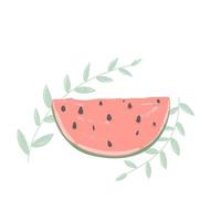 Pink watermelon on a white background.A piece of watermelon. Juicy, fresh fruit. vector