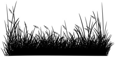 grass silhouette white background vector