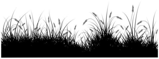 reeds black silhouette background vector