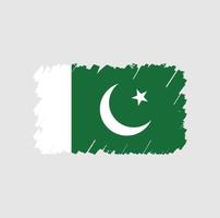 cepillo de bandera de pakistán vector