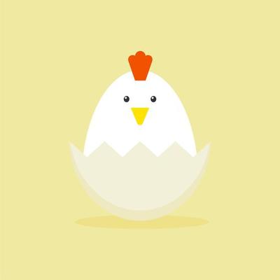 Cute vector cartoon illustration of baby chicken hatching from the egg. Funny and educational illustration. Chicken hatching. Cracked chick egg, hatch eggs and hatched easter chicks cartoon vector