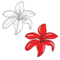 red flower with black outline drawing isolated on white background. vector