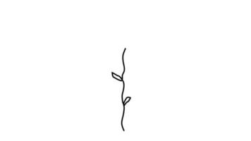 línea continua dibujada a mano hermosas flores de línea en blanco y negro diseñan tarjetas de felicitación e invitaciones navideñas. ilustración de línea de trama video