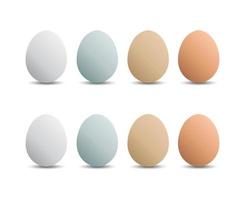 Collection of egg cartoon design. Realistic 3d animal egg cartoon design icon. Pack of animal egg cartoon. vector