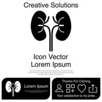 Kidney Icon Vector EPS 10