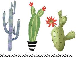 Indoor plants cactus in pots. vector