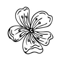flor de sakura dibujada a mano aislada sobre fondo blanco. ilustración botánica vectorial. flor de manzana dibujada a mano. vector