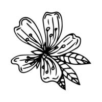 Cute hand drawn single sakura element. Traditional japanese or chinese spring flower in ink style. Doodle cherry plant. vector