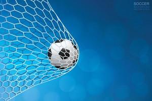 Soccer ball in goal. Football ball and white net with blue background. Vector illustration.