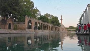 Sanliurfa, Turkey, 2021 - People by Sacred pool Balikligol with Fish, Pool of Abraham, Sanliurfa Turkey. Static view architectural monuments of Urfa city. Famous travel destination in Turkey video