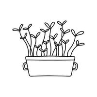 Pot of microgreens. Microgreens peas, radish, onion, arugula. sunflower, beets and others. Vector illustration isolated on white background. Doodle style.