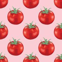 lindo patrón de diseño sin costuras de tomate vector