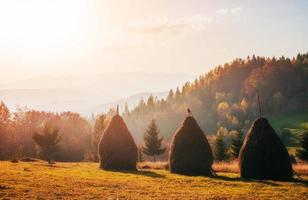 Traditional hay stacks, typical rural scene. Carpathian. Ukraine, Europe.
