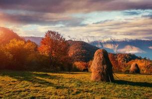 cordillera en las montañas de los cárpatos en la temporada de otoño. foto