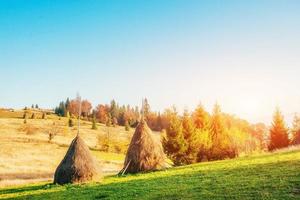 Traditional hay stacks, typical rural scene. Carpathian. Ukraine photo