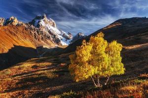 Autumn landscape and snowy peaks in the sun. photo